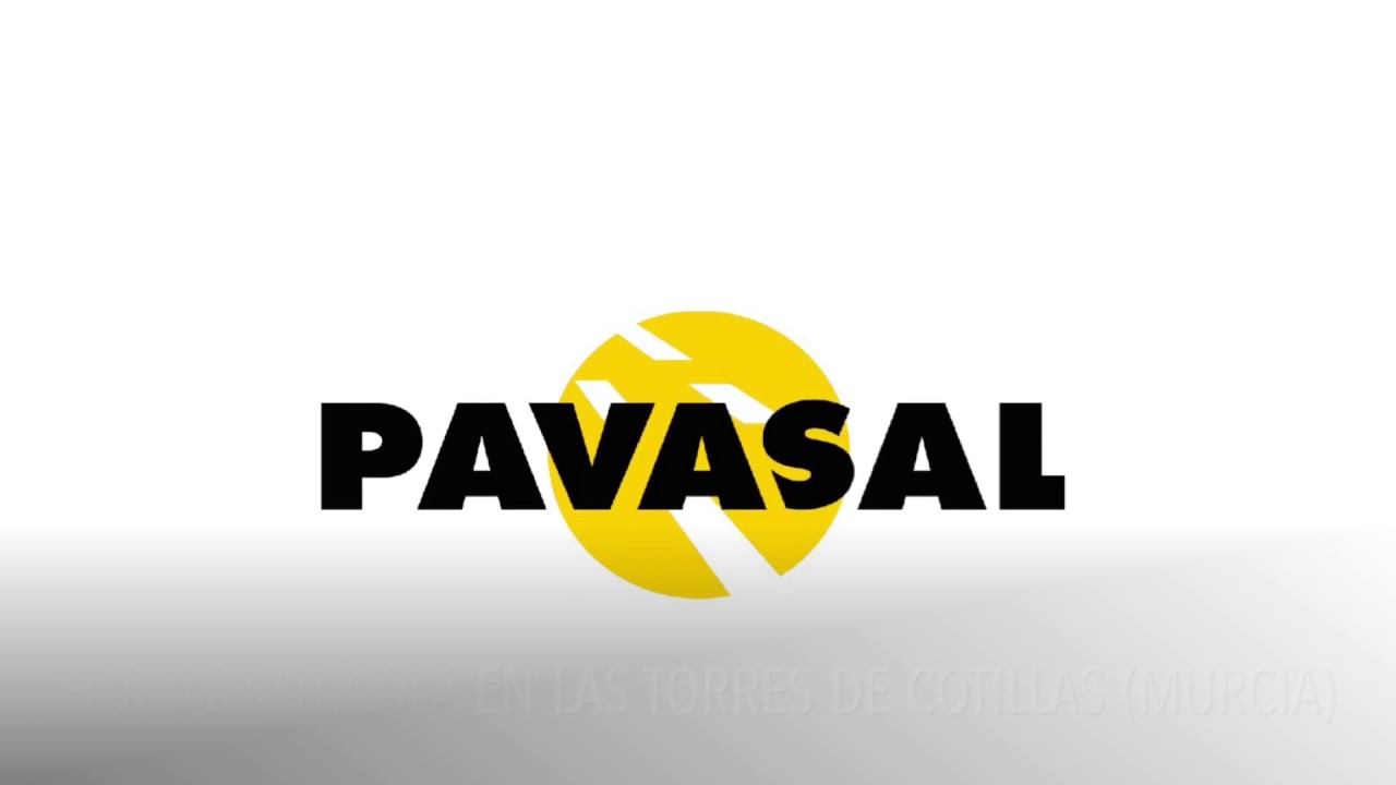 PAVASAL